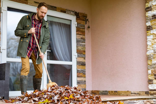 Best Junk Removal Near Me  in Hollins, VA